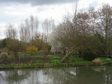a0247585_5294197.jpg