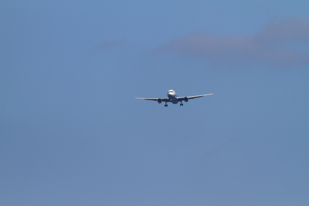 e0204891_2125441.jpg