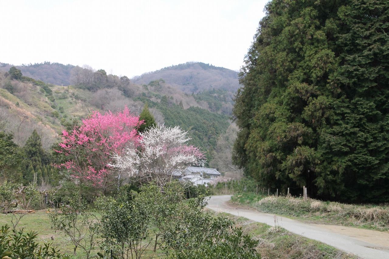 b0162728_16361226.jpg