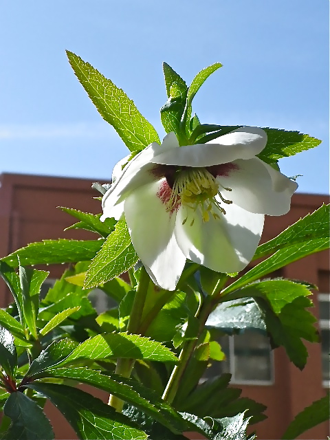 b0027736_21185926.jpg