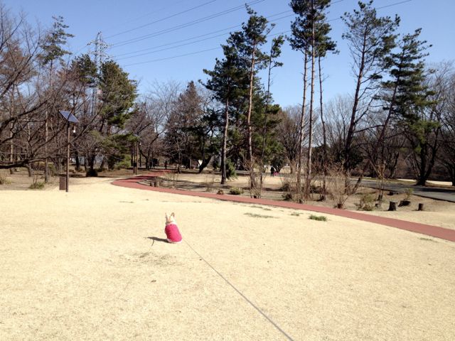 d0319745_1728527.jpg