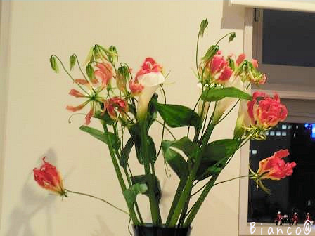 d0118050_17582004.jpg