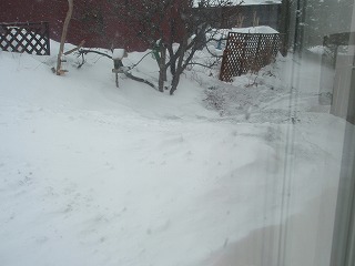 e0004756_2033248.jpg