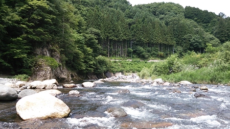 c0211357_111092.jpg