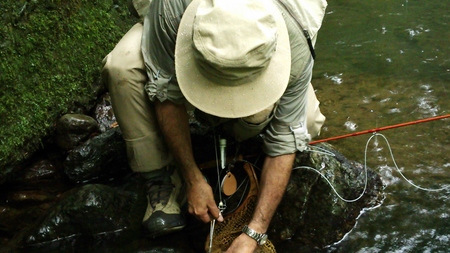 c0211357_15174348.jpg