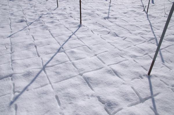 b0320758_11414478.jpg