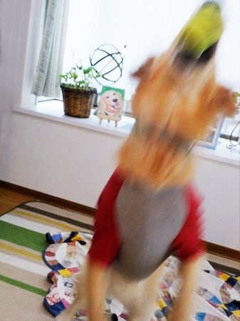 c0097558_0481243.jpg