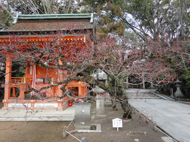 a0181459_12163184.jpg
