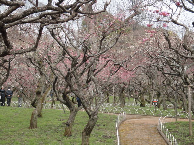 a0181459_12165912.jpg