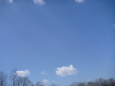 e0161972_13135731.jpg