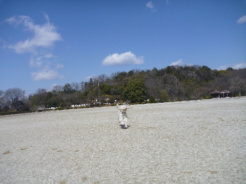 e0161972_13141522.jpg