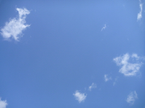 e0161972_13182475.jpg