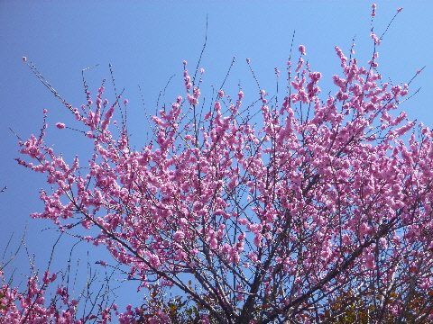 e0161972_13211891.jpg