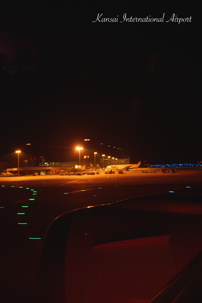 b0243873_20421893.png