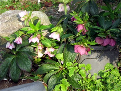 f0003174_13415257.jpg