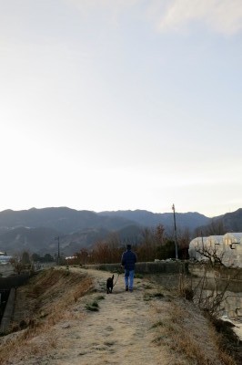 f0037378_7501610.jpg
