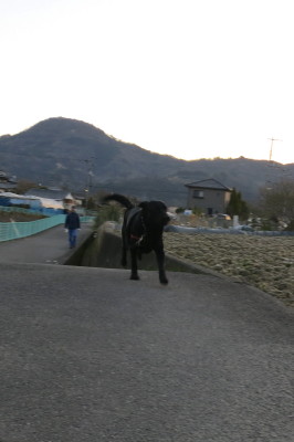 f0037378_750167.jpg