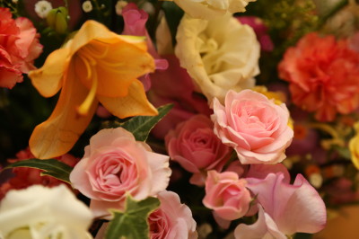 f0037378_7502182.jpg