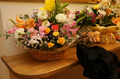 f0037378_7502555.jpg