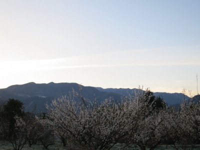 f0037378_750576.jpg