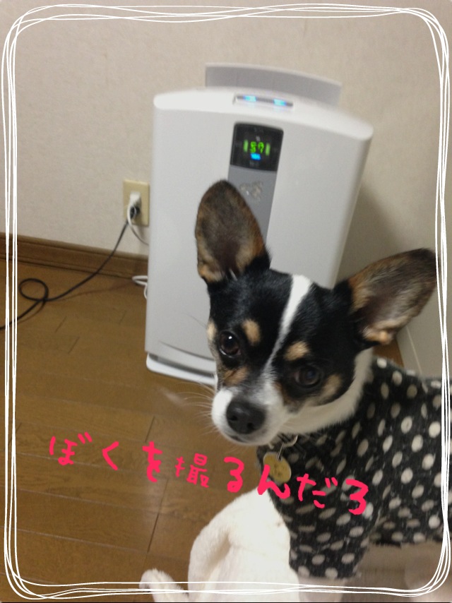 f0248782_1552887.jpg