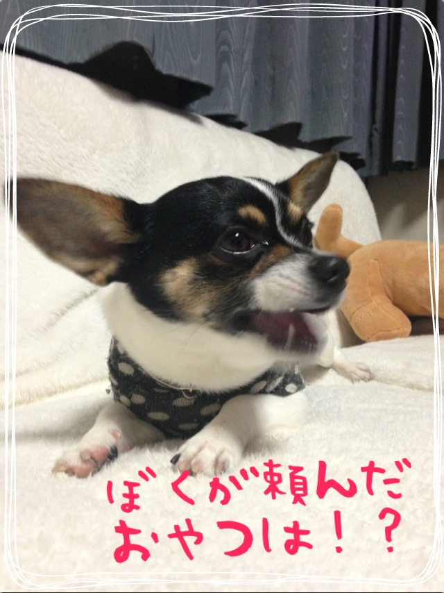 f0248782_168271.jpg