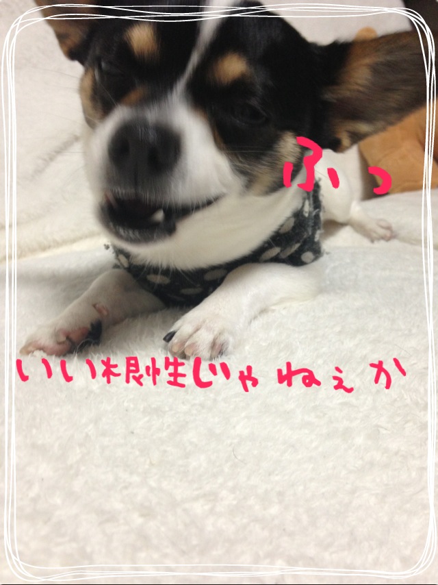 f0248782_1691496.jpg