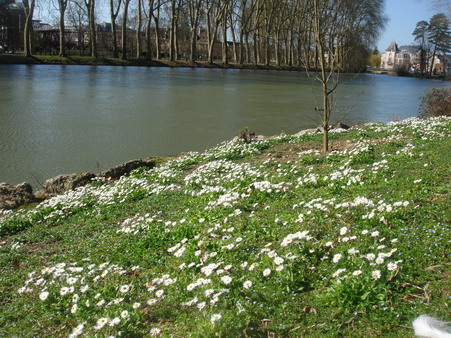 a0247585_7272316.jpg