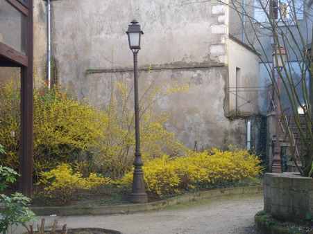 a0247585_7382422.jpg