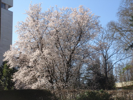 a0247585_7462676.jpg