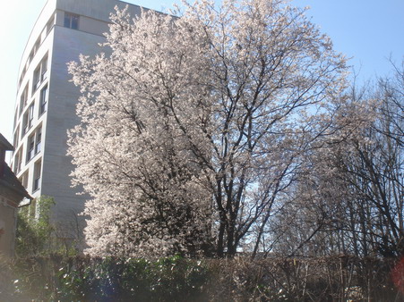 a0247585_747187.jpg