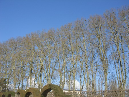 a0247585_7492885.jpg