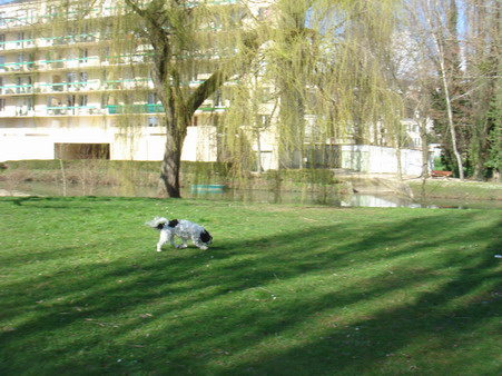 a0247585_7503727.jpg