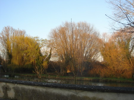 a0247585_7581411.jpg