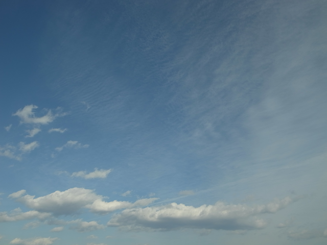 e0271890_16073197.png