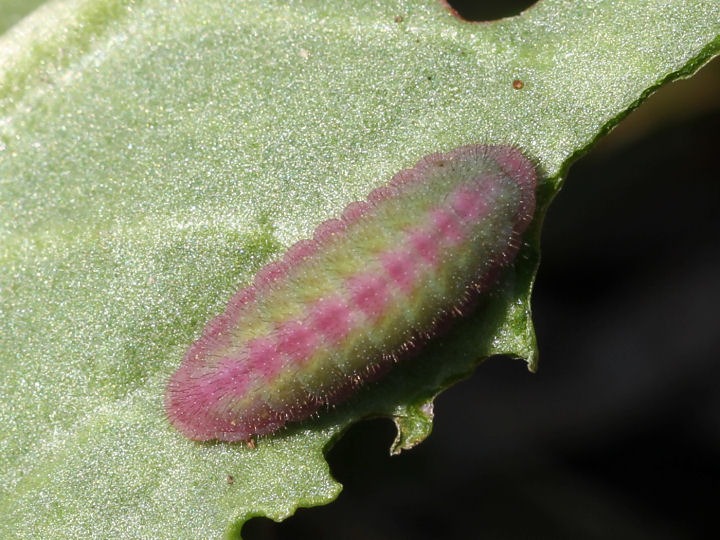 b0194593_22442490.jpg