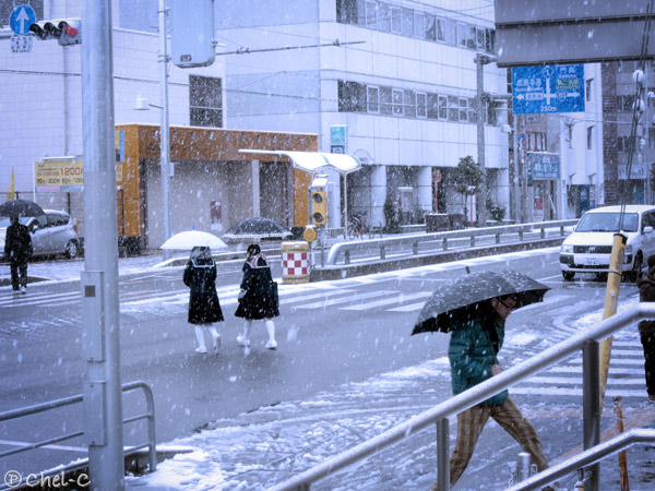 a0154706_48385.jpg