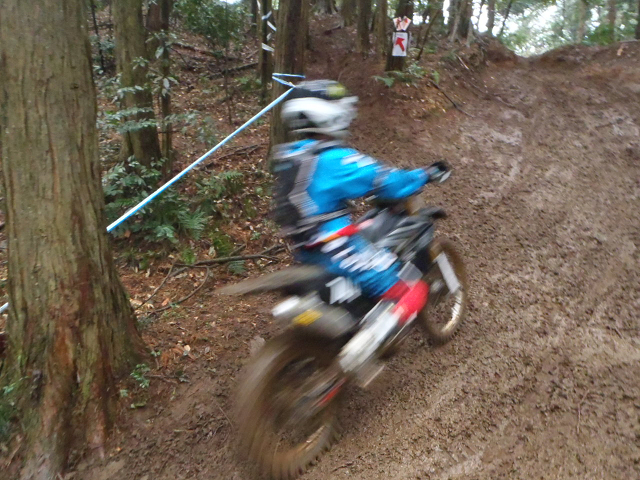 c0223419_1659178.jpg