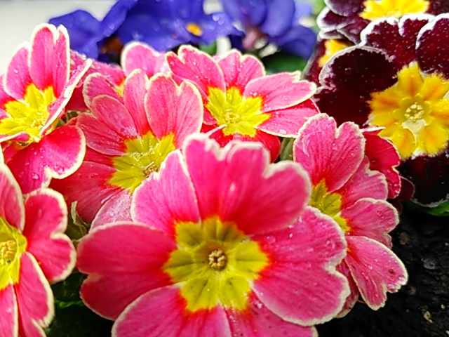 b0199924_1525510.jpg