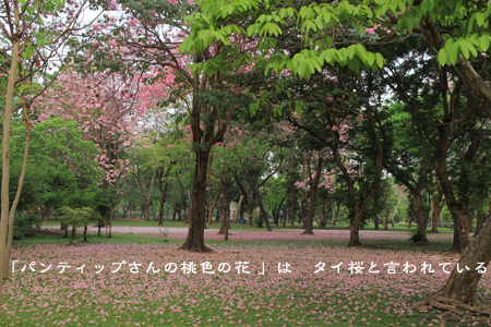 d0042827_2016665.jpg