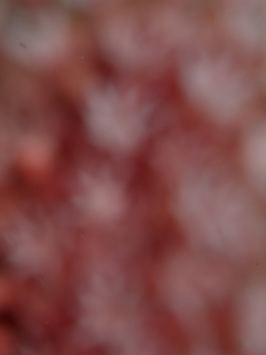 c0034029_23502781.jpg