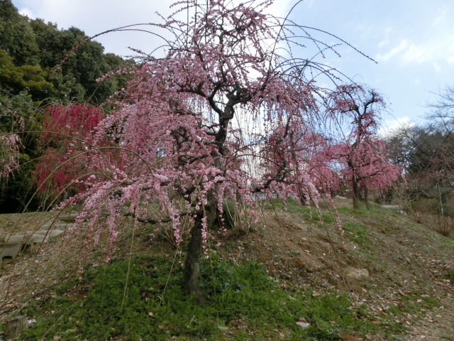 c0194042_21484484.jpg