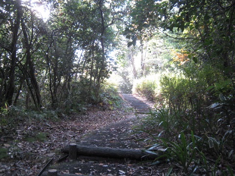e0161972_1452455.jpg