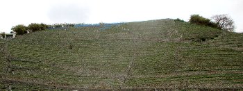 f0003283_18045547.jpg