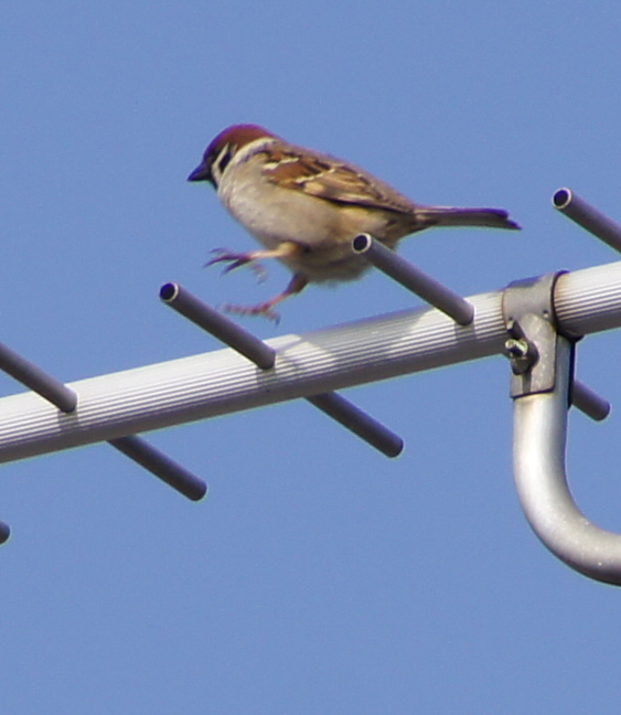 c0139591_8584953.jpg