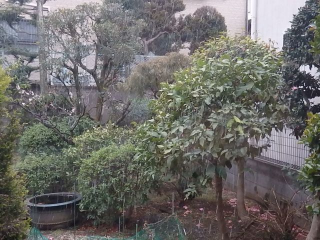 f0130894_2293773.jpg