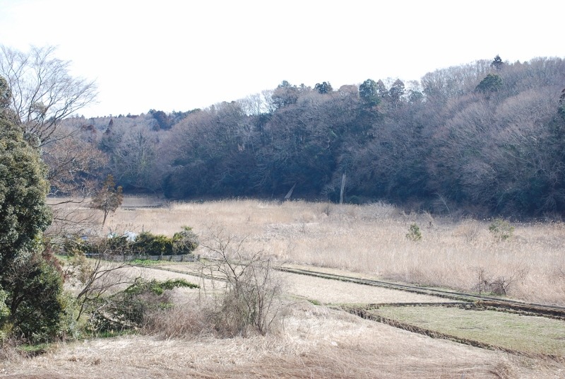 e0025300_1472243.jpg