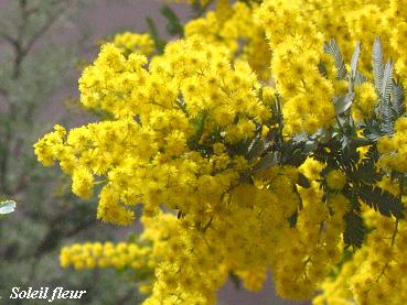 c0098807_20111849.jpg