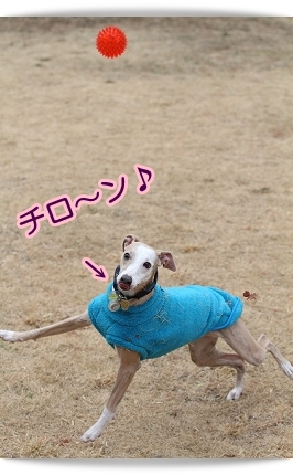 e0100007_8541099.jpg