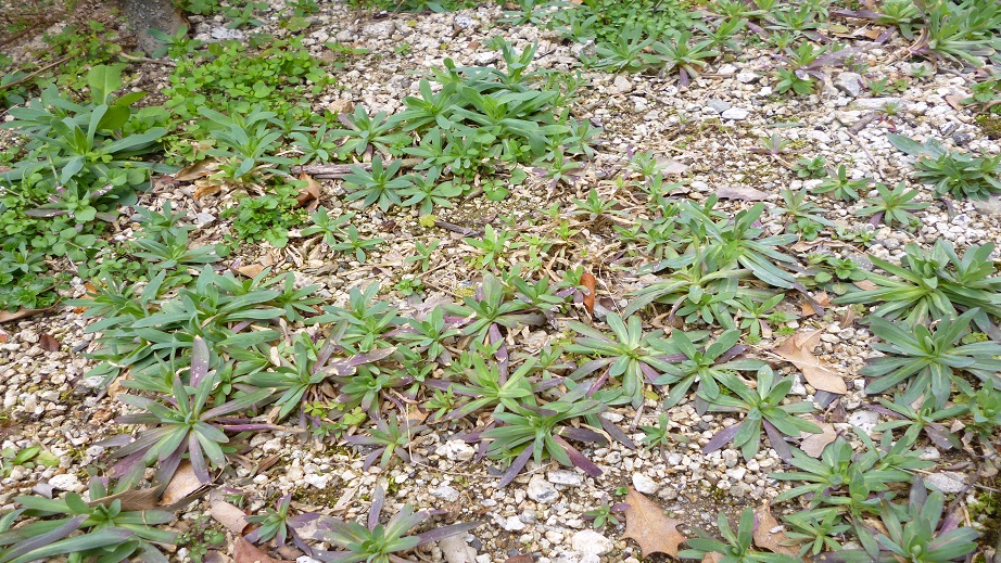 f0228619_14214135.jpg